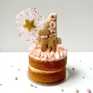 Torta de Cumpleaños Canina