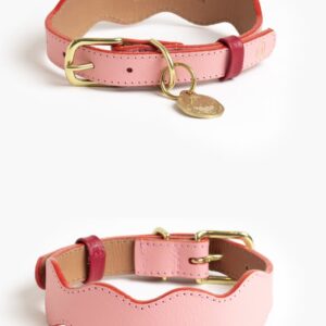 Collar Cuero Premium Personalizado